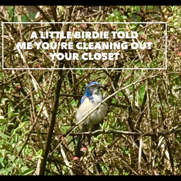 Meet your Posher, Victoria - Picture 3 of 5